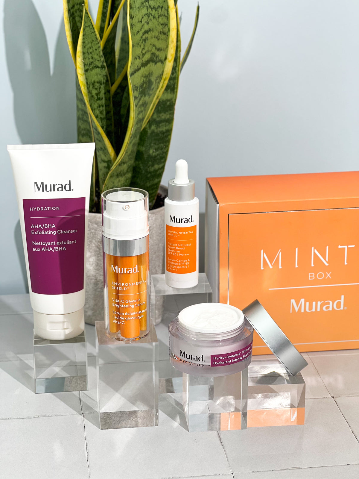 MURADS 4 STEP PHILOSOPHY | MINTD Box
